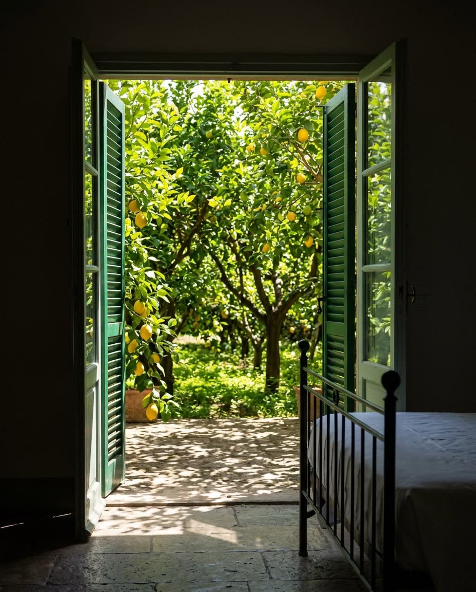 Camera Limonaia