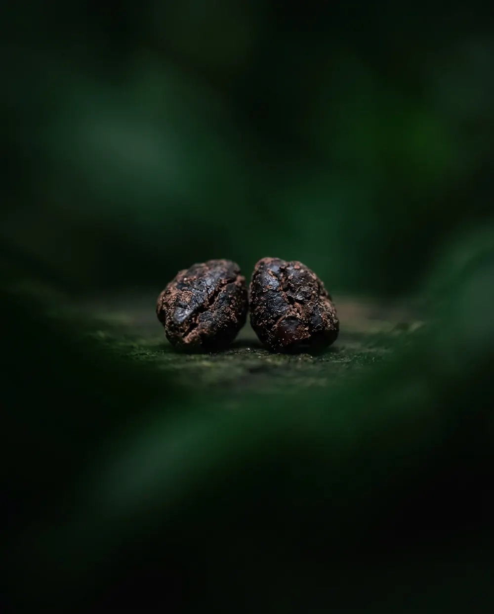 Due nibs di cacao a fuoco al centro di un campo verde sfocato.