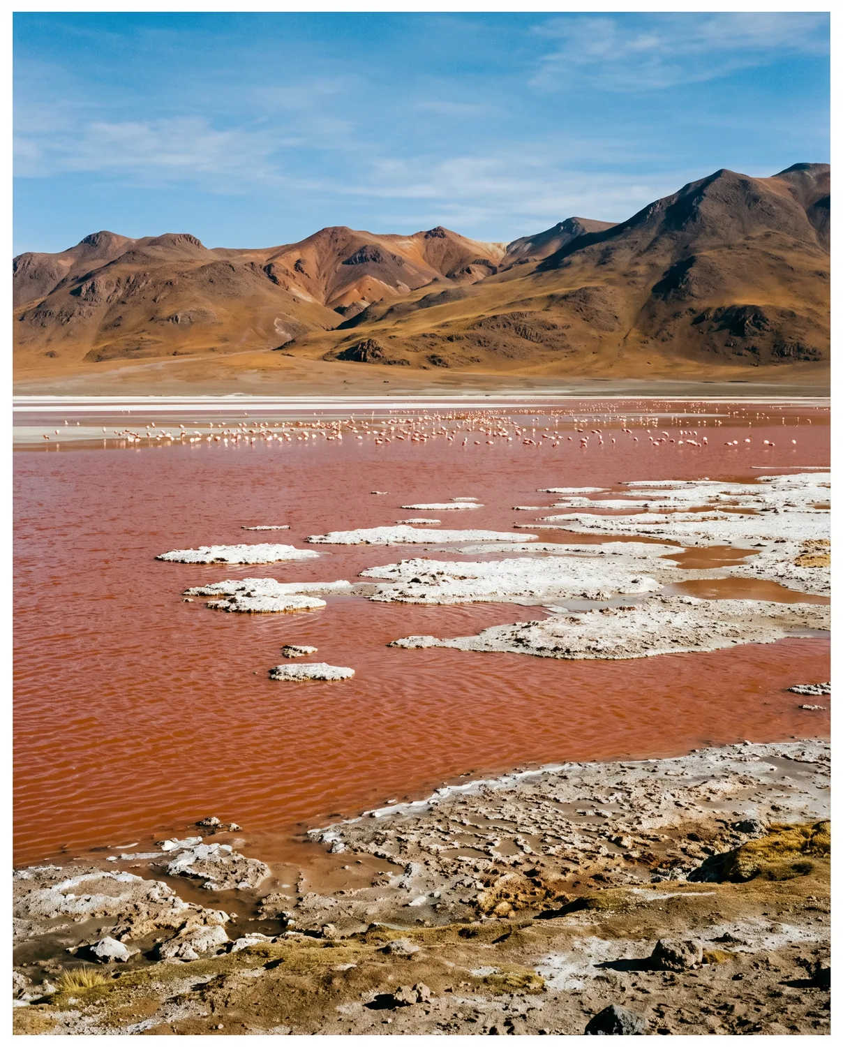 Laguna Colorada