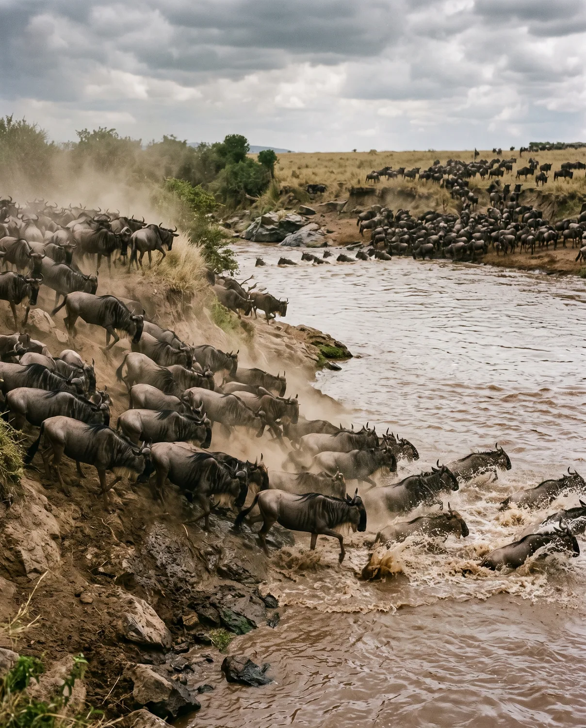 Masai Mara